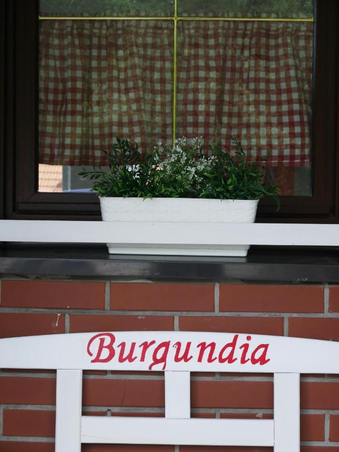 Niewinne Domki - Burgundia Żywiec Buitenkant foto
